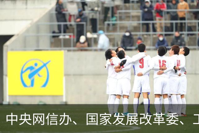 中央网信办、国家发展改革委、工业和信息化部、生态环境部、住房城乡建设部、农业农村部、商务部，联合印发重要实施方案